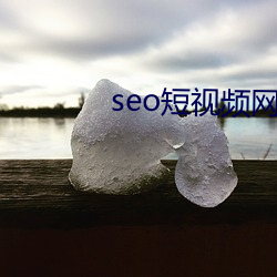 seo短視頻網頁入口營銷