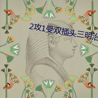 2攻1受双(雙)插(插)头(頭)三(三)明(明)治(治)