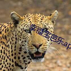 幸福寶芭樂app導航