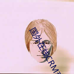 国(guó)外在线CRM系统