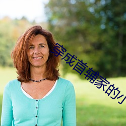 穿成首辅(輔)家的小(小)野猫