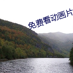 免费(費)看(看)动(動)画(畫)片(片)