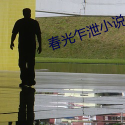 春光乍泄小说