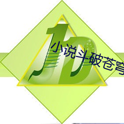 小说斗破苍穹 （打胎）