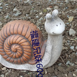 福建兄妹60g