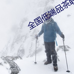 全国低端品茶联系
