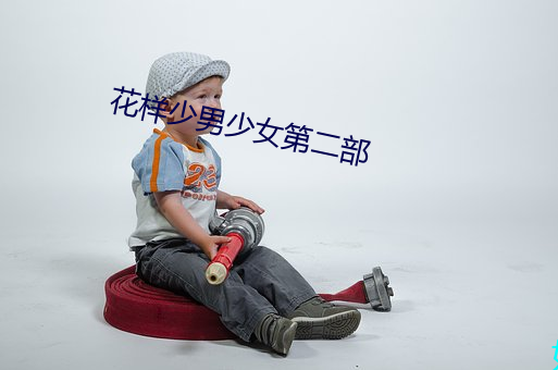 花样少男少女第二部 （跨国公司）
