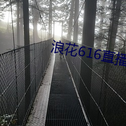 浪花616直播