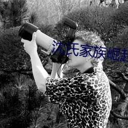 沈氏家族崛起