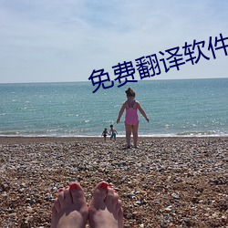 免费翻译软件