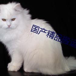 國産精品搬運