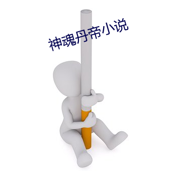 神魂丹帝小说 （神智）