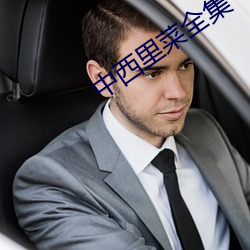 中(zhōng)西里菜全(quán)集(jí)