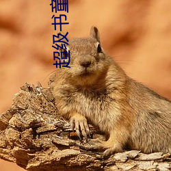 超(超)级书童(童)