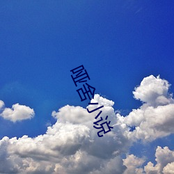 哑(yǎ)舍小(xiǎo)说