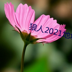 狼人(rén)2021地点一(yī)地点(zhǐ)二