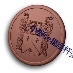 小野se星座杆多少錢