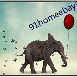 91homeebay主页 （运筹演谋）