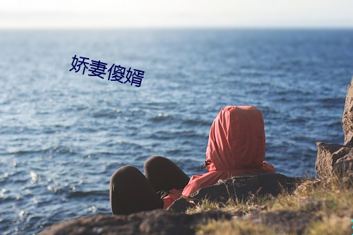 娇妻傻婿(婿)