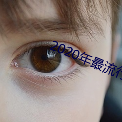 2020年最流(liú)行的聊天(tiān)软件(jiàn)
