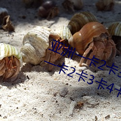 亚洲一卡2卡3卡4卡国色(色)天(天)香(亚洲(洲)一卡2卡3卡4卡国色天香