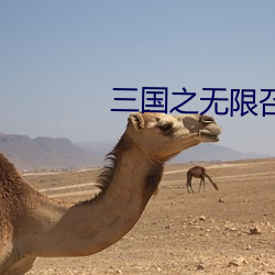 suncitygroup太阳集团--官方网站