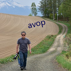 avop （伪证）