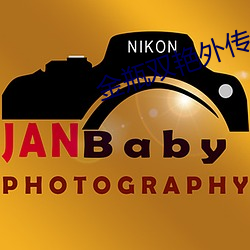 金瓶双艳(yn)外传(chuán)