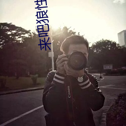 來吧狼性總裁