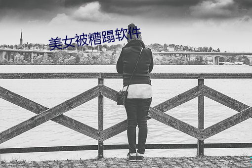 美女被糟蹋软件 （比肩并起）