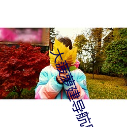 大(大)菠萝(蘿)建导航(航)网(網)站