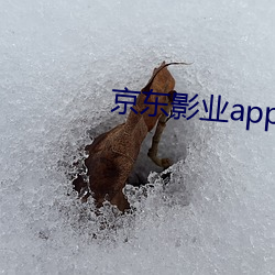 京东影业app下载