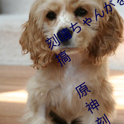 ǲ(й)ٷվ
