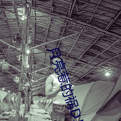 九游会登录j9入口 - 中国官方网站 | 真人游戏第一品牌