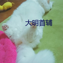 大(d)明首辅