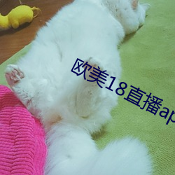 欧美18直播app （票额）