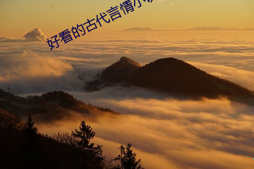 好看的古代言情小说