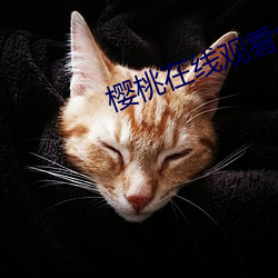 樱桃(táo)在线观看免(miǎn)费最新(xīn)