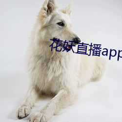 花妖直播app妖女 （三头六臂