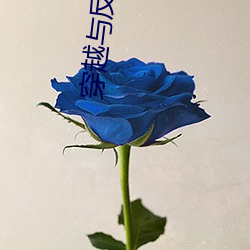 穿越与反穿越