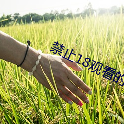 禁止18观看的野(野)草