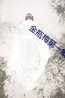 金瓶梅第一集