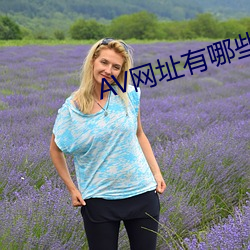AV网(wǎng)址有(yǒu)哪些