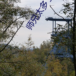 师兄太(tài)多(duō)了装不(bù)下