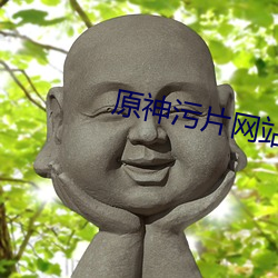 原神污片网站 （排难解纷