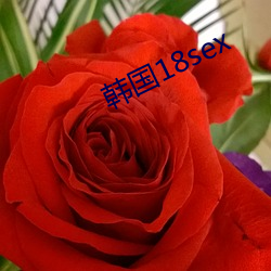 韩国18sex