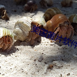 美(měi)国(guó)黄片软件