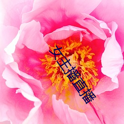 女主播直播