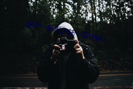 国产一级毛大陆一级小说 弄竹弹丝）