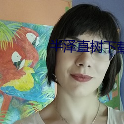 半(半)泽(澤)直树下(下)载(載)